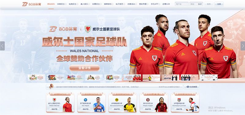 B熊猫体育 - 德甲多特蒙德官方合作伙伴 2 B熊猫体育简介